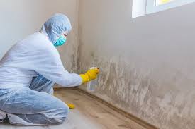 Best Post-Construction Mold Inspection  in Aviston, IL