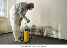 Aviston, IL Mold Prevention & Removal  Company